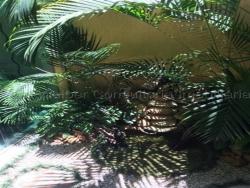 Casa em condomínio para Venda em Sorocaba - 3